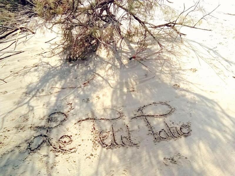 Bed and Breakfast Le Petit Patio Aigues-Mortes Esterno foto