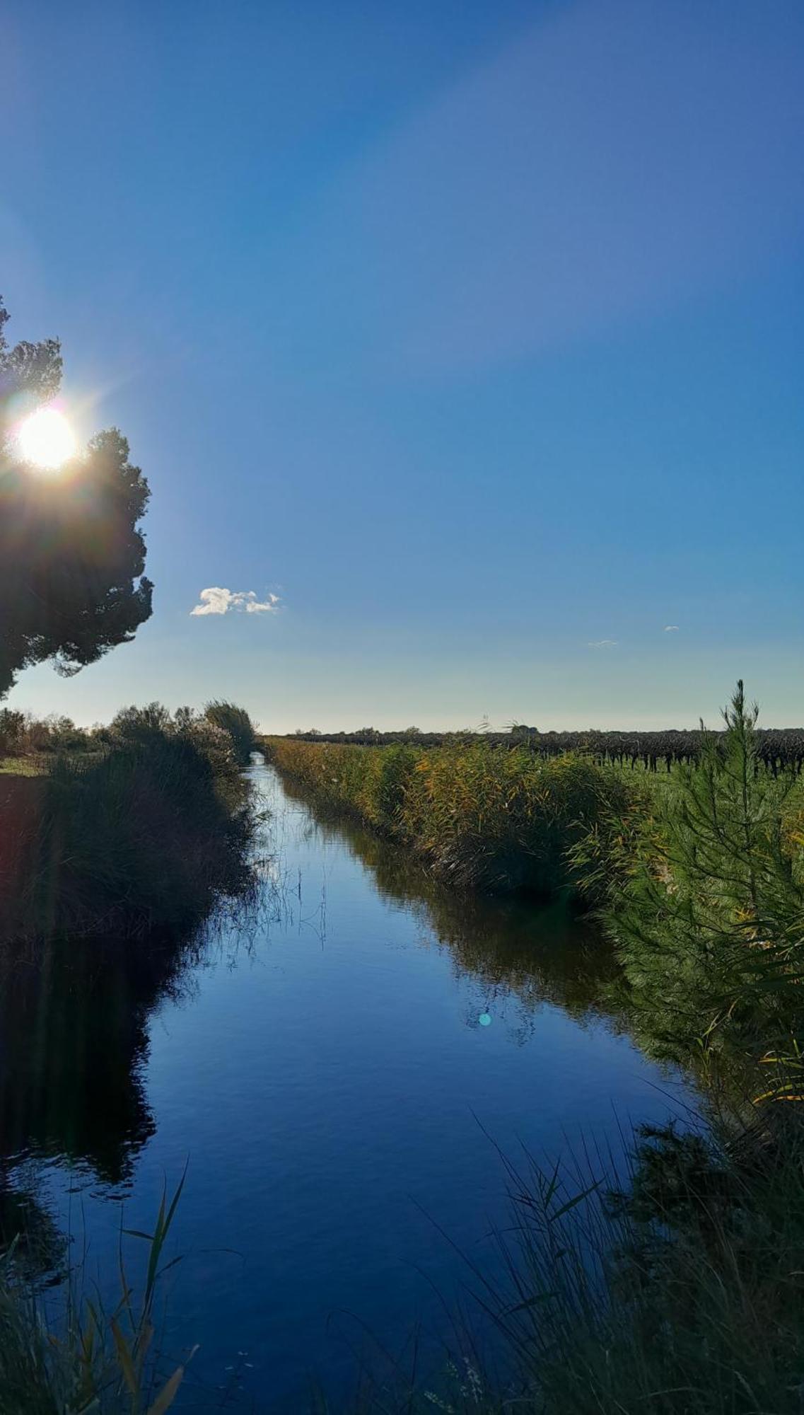 Bed and Breakfast Le Petit Patio Aigues-Mortes Esterno foto