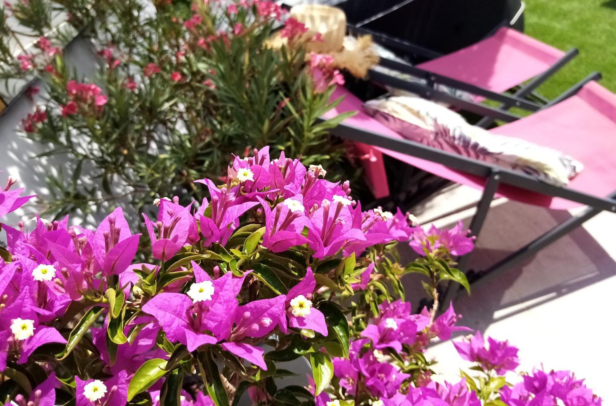 Bed and Breakfast Le Petit Patio Aigues-Mortes Esterno foto