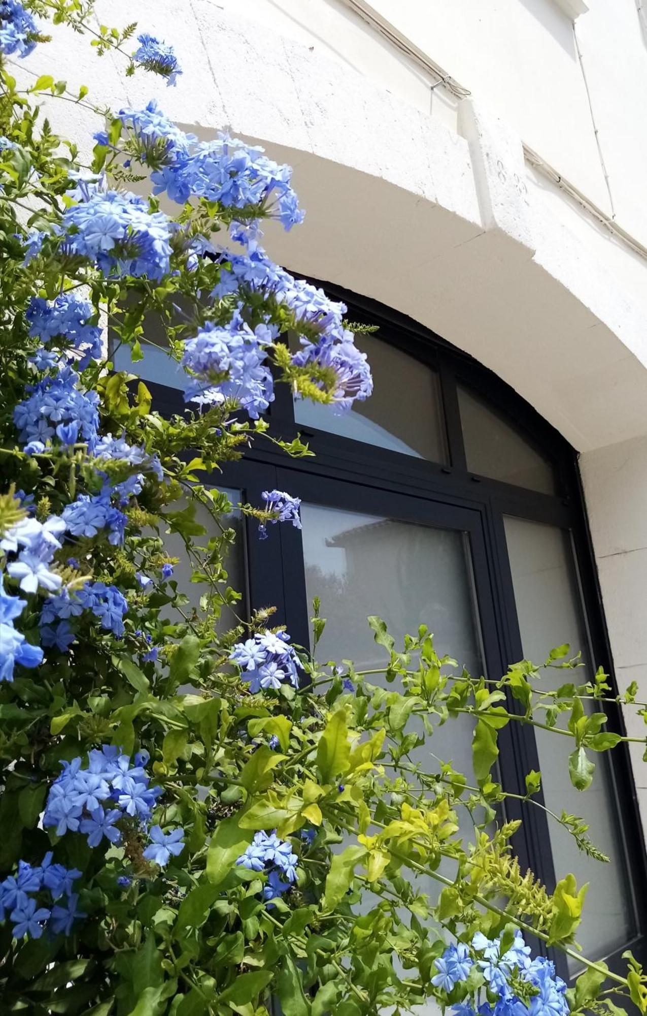 Bed and Breakfast Le Petit Patio Aigues-Mortes Esterno foto