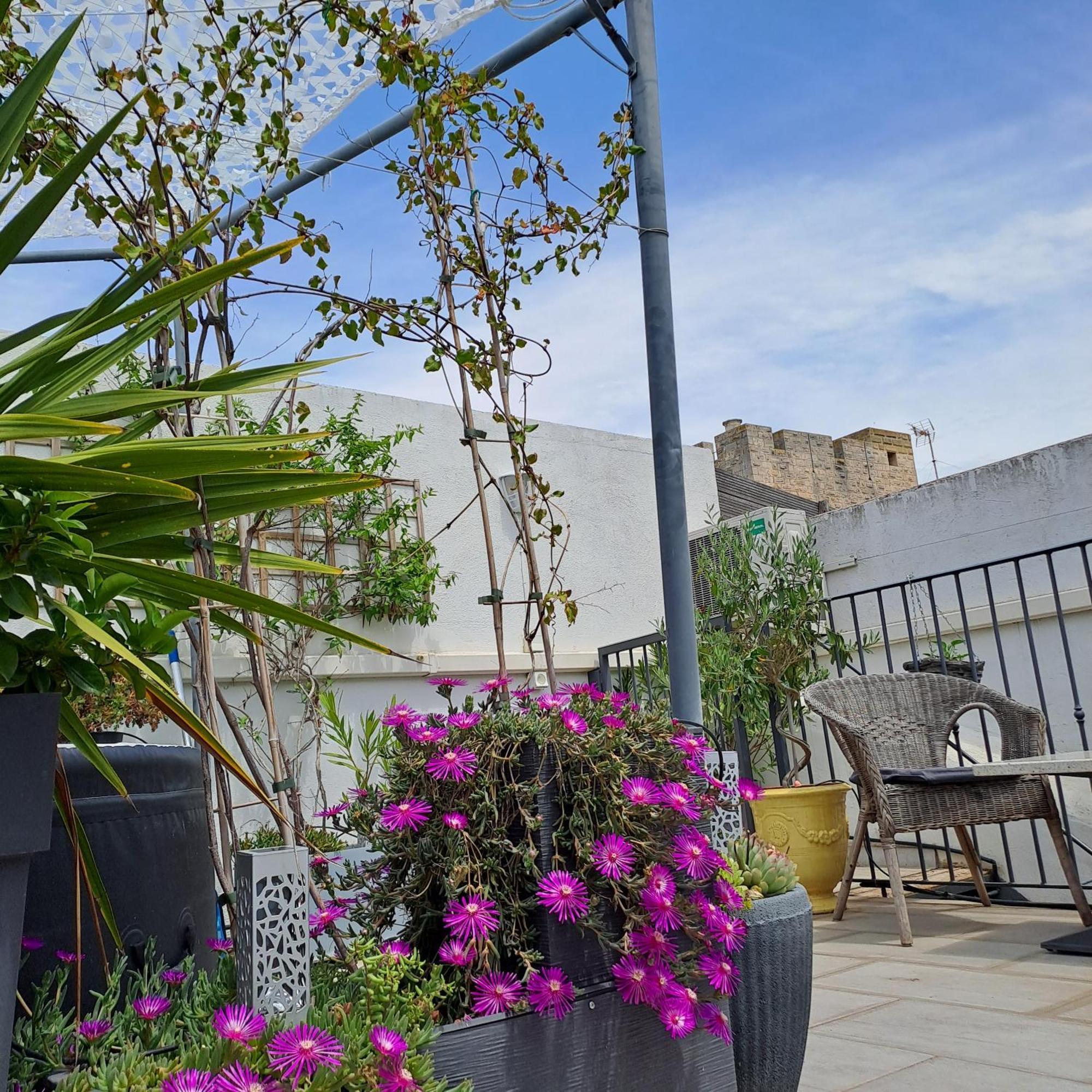 Bed and Breakfast Le Petit Patio Aigues-Mortes Esterno foto